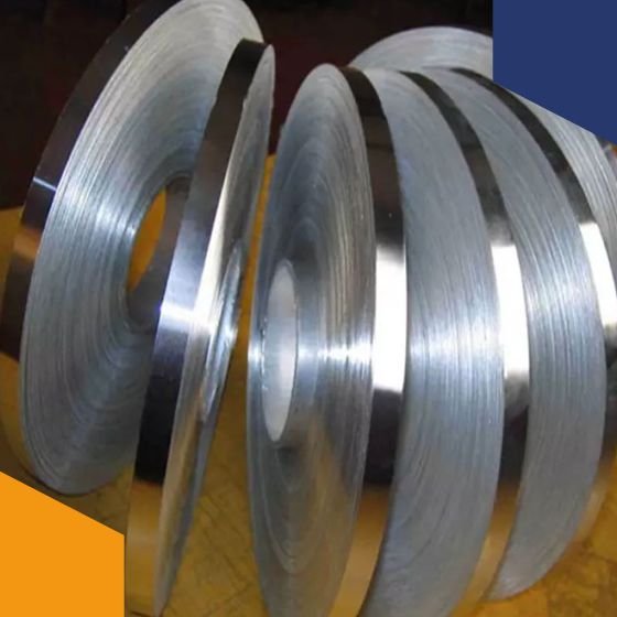 Stainless Steel Strips
